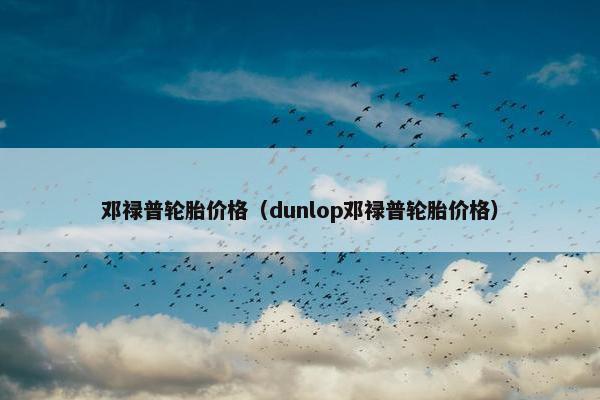 邓禄普轮胎价格（dunlop邓禄普轮胎价格）