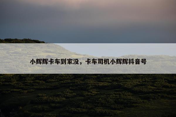 小辉辉卡车到家没，卡车司机小辉辉抖音号