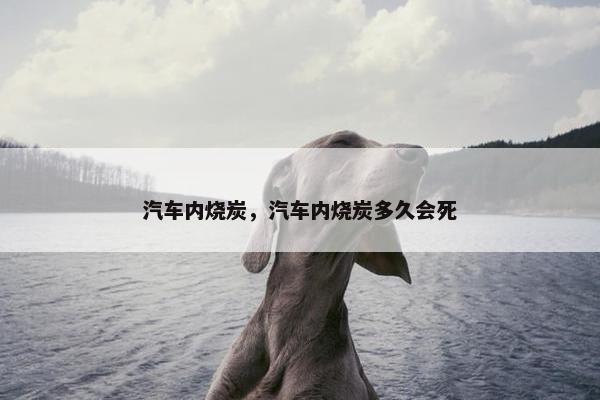汽车内烧炭，汽车内烧炭多久会死