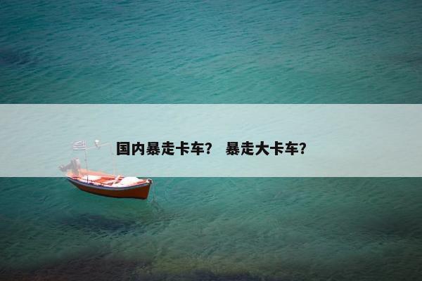 国内暴走卡车？ 暴走大卡车？