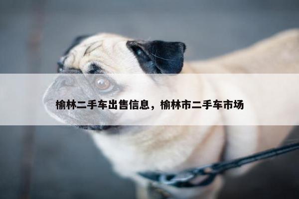 榆林二手车出售信息，榆林市二手车市场