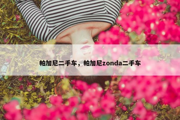 帕加尼二手车，帕加尼zonda二手车