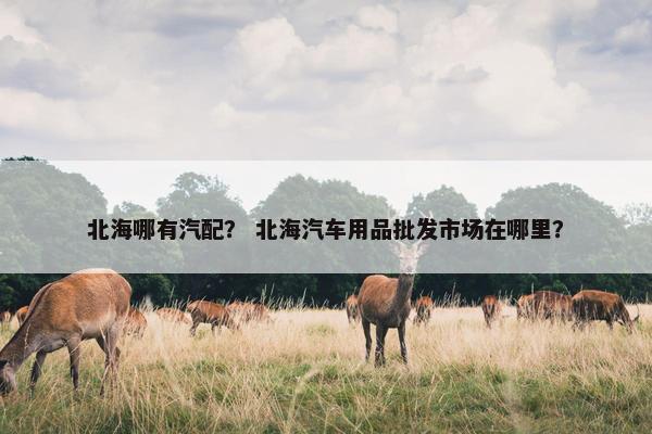 北海哪有汽配？ 北海汽车用品批发市场在哪里？