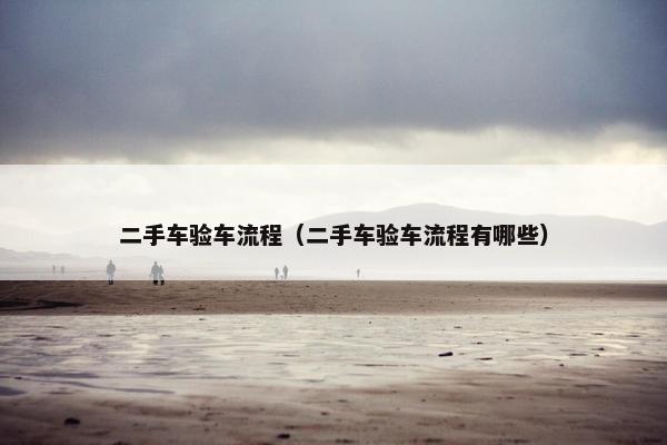 二手车验车流程（二手车验车流程有哪些）