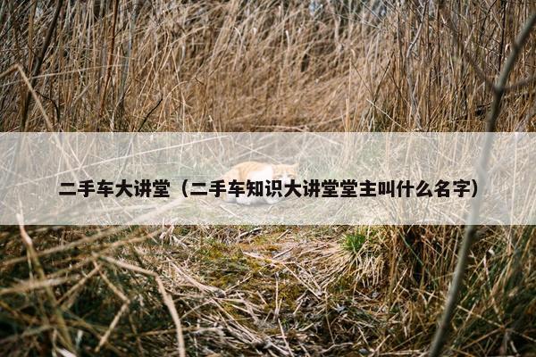 二手车大讲堂（二手车知识大讲堂堂主叫什么名字）