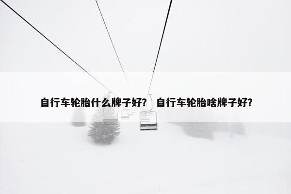 自行车轮胎什么牌子好？ 自行车轮胎啥牌子好？