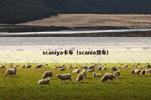scaniya卡车（scania货车）