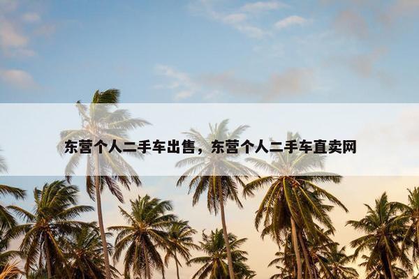 东营个人二手车出售，东营个人二手车直卖网