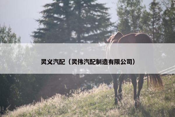 灵义汽配（灵伟汽配制造有限公司）