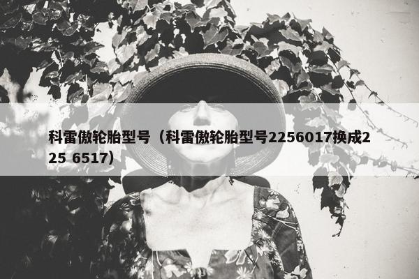 科雷傲轮胎型号（科雷傲轮胎型号2256017换成225 6517）