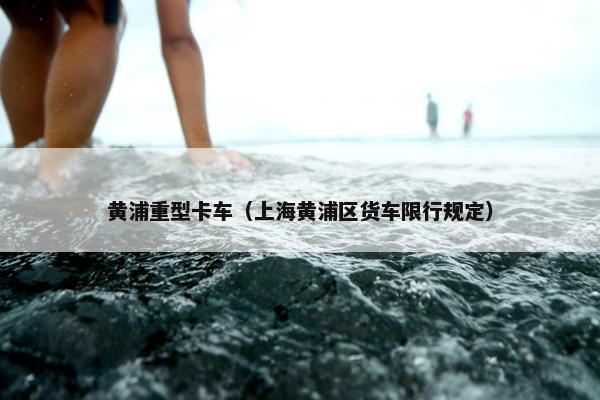 黄浦重型卡车（上海黄浦区货车限行规定）