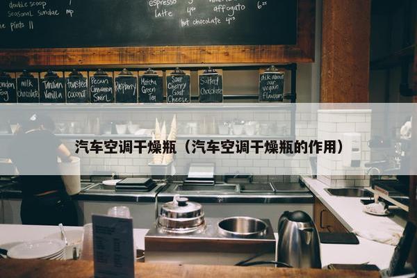 汽车空调干燥瓶（汽车空调干燥瓶的作用）