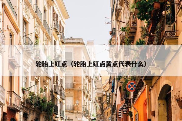 轮胎上红点（轮胎上红点黄点代表什么）