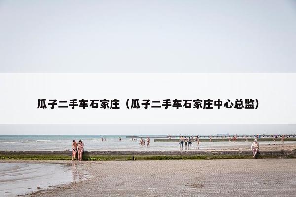 瓜子二手车石家庄（瓜子二手车石家庄中心总监）