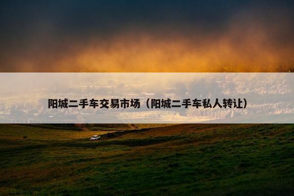 阳城二手车交易市场（阳城二手车私人转让）