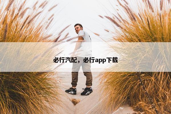 必行汽配，必行app下载