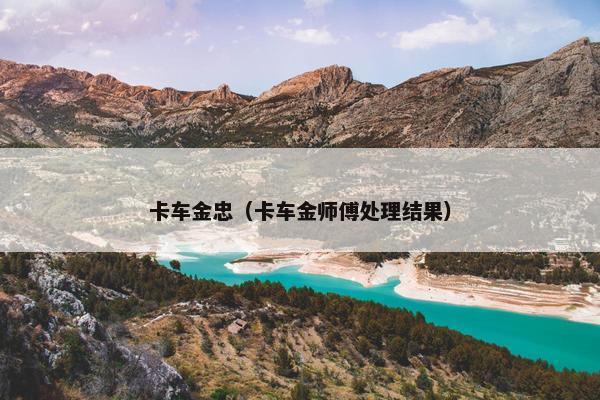 卡车金忠（卡车金师傅处理结果）