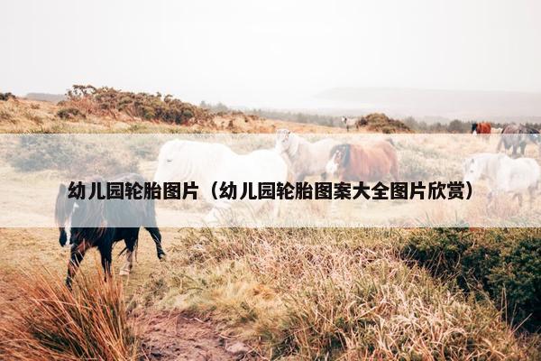 幼儿园轮胎图片（幼儿园轮胎图案大全图片欣赏）