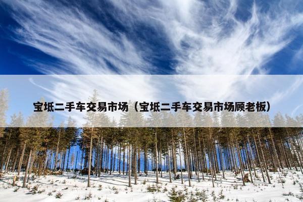 宝坻二手车交易市场（宝坻二手车交易市场顾老板）