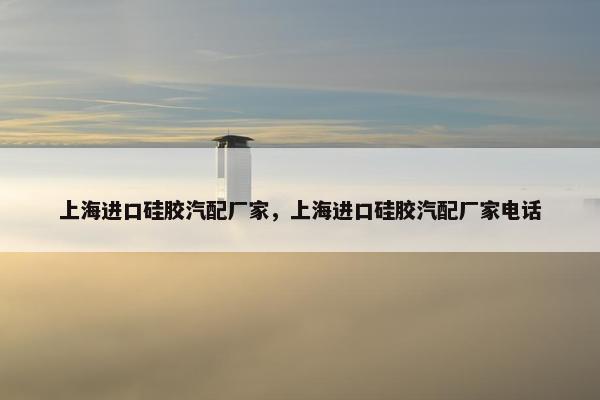 上海进口硅胶汽配厂家，上海进口硅胶汽配厂家电话