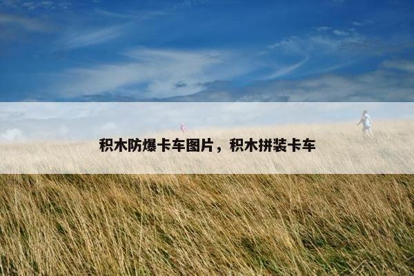 积木防爆卡车图片，积木拼装卡车