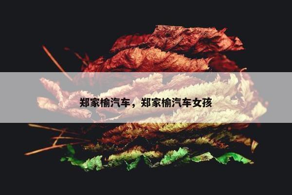 郑家榆汽车，郑家榆汽车女孩