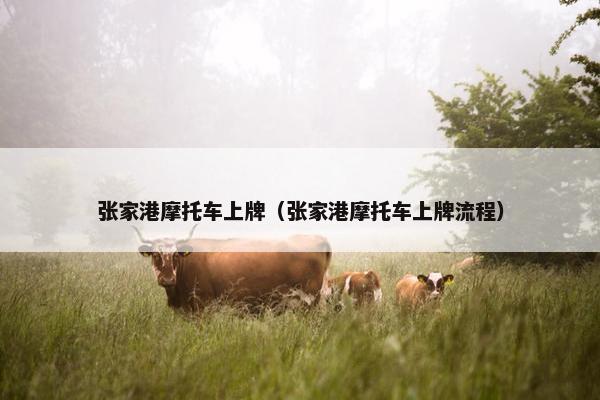 张家港摩托车上牌（张家港摩托车上牌流程）