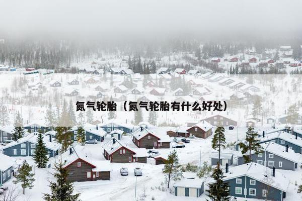 氮气轮胎（氮气轮胎有什么好处）