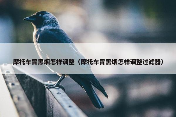 摩托车冒黑烟怎样调整（摩托车冒黑烟怎样调整过滤器）