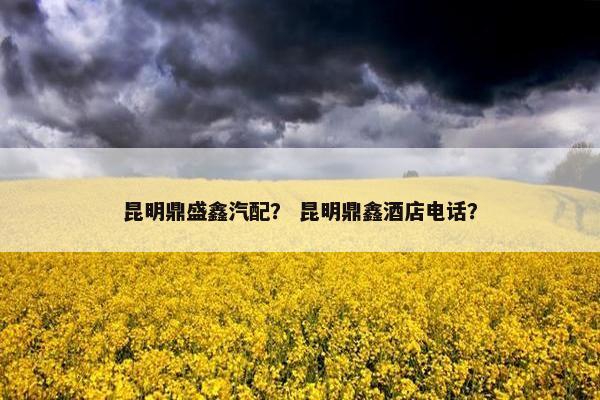 昆明鼎盛鑫汽配？ 昆明鼎鑫酒店电话？