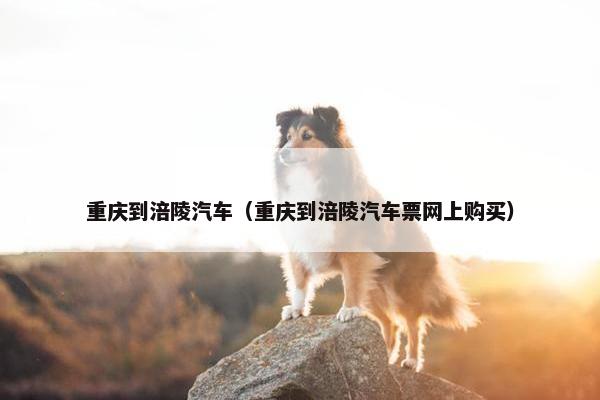 重庆到涪陵汽车（重庆到涪陵汽车票网上购买）