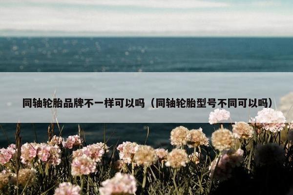 同轴轮胎品牌不一样可以吗（同轴轮胎型号不同可以吗）