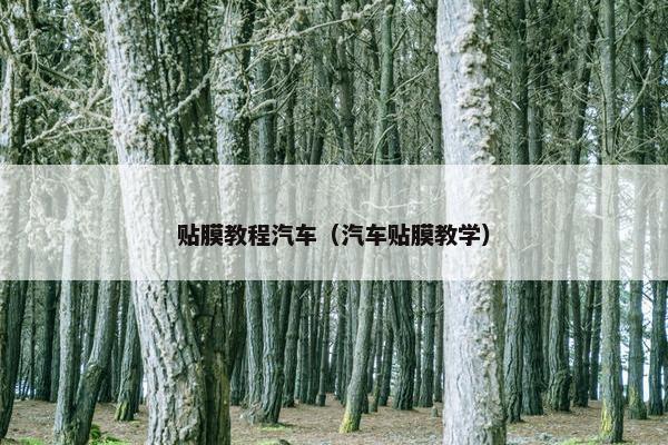 贴膜教程汽车（汽车贴膜教学）