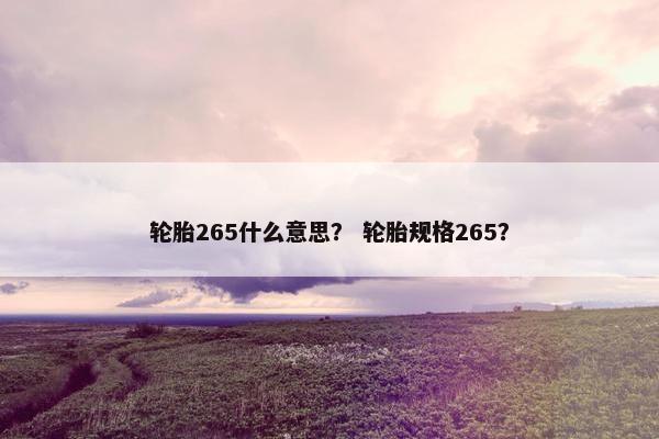 轮胎265什么意思？ 轮胎规格265？