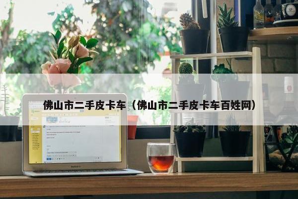 佛山市二手皮卡车（佛山市二手皮卡车百姓网）