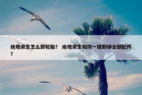 绝地求生怎么卸轮胎？ 绝地求生如何一键卸掉全部配件？