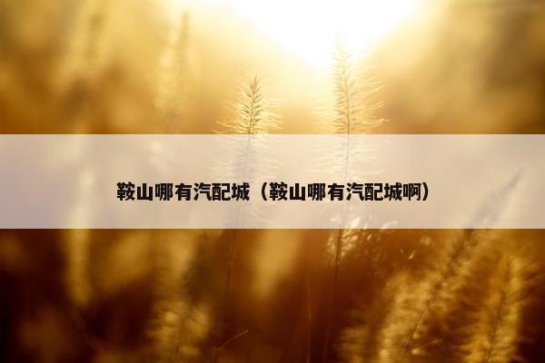 鞍山哪有汽配城（鞍山哪有汽配城啊）