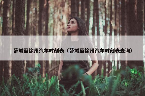 薛城至徐州汽车时刻表（薛城至徐州汽车时刻表查询）