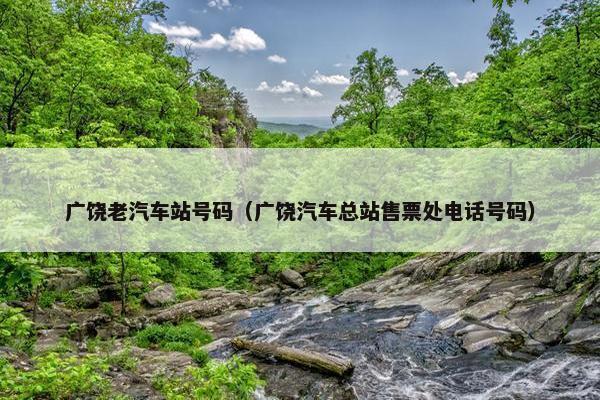 广饶老汽车站号码（广饶汽车总站售票处电话号码）