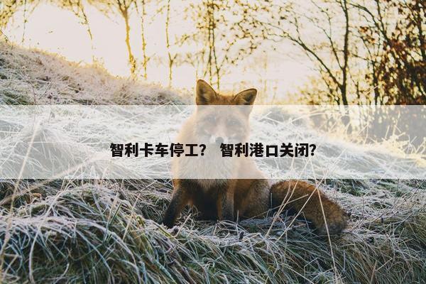 智利卡车停工？ 智利港口关闭？