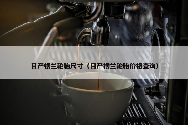 日产楼兰轮胎尺寸（日产楼兰轮胎价格查询）