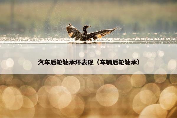 汽车后轮轴承坏表现（车辆后轮轴承）