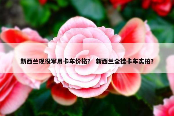 新西兰现役军用卡车价格？ 新西兰全挂卡车实拍？