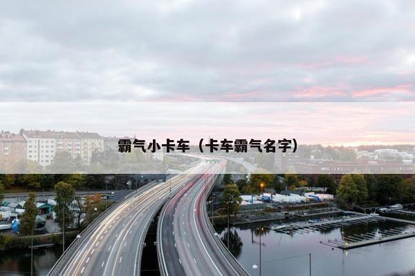 霸气小卡车（卡车霸气名字）
