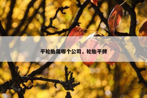 平轮胎属哪个公司，轮胎平牌