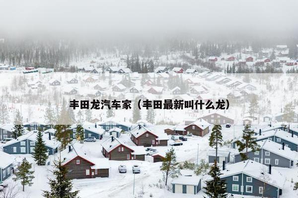 丰田龙汽车家（丰田最新叫什么龙）