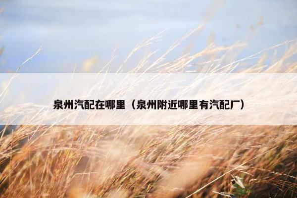 泉州汽配在哪里（泉州附近哪里有汽配厂）