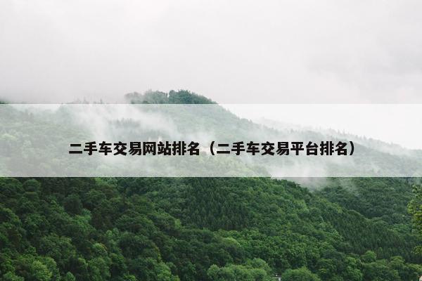 二手车交易网站排名（二手车交易平台排名）