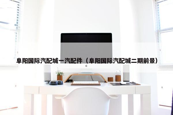 阜阳国际汽配城一汽配件（阜阳国际汽配城二期前景）