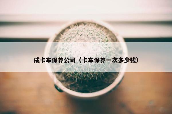 成卡车保养公司（卡车保养一次多少钱）